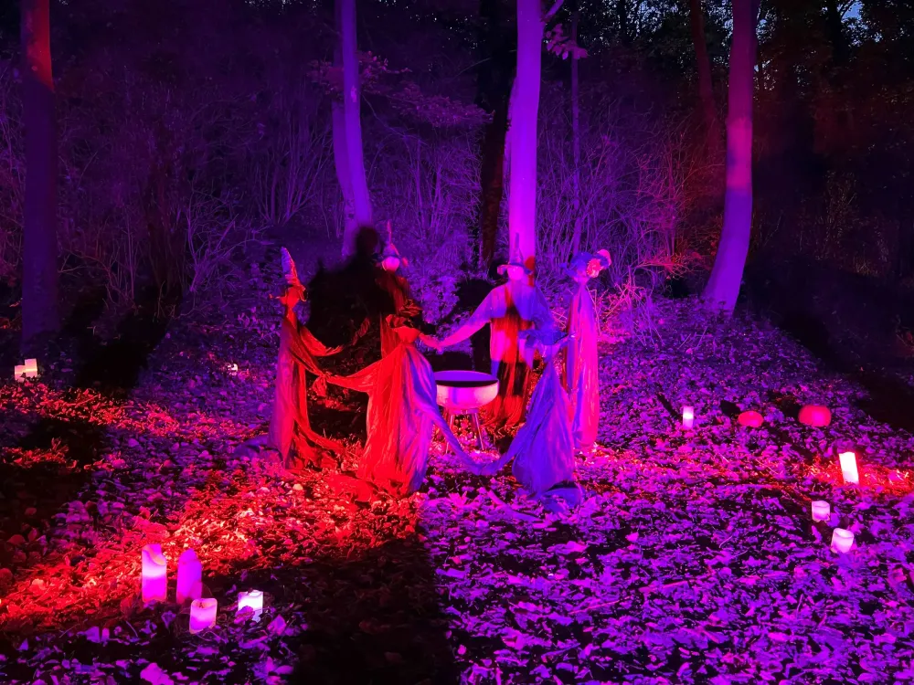 animations-halloween-saint-cloud.jpg