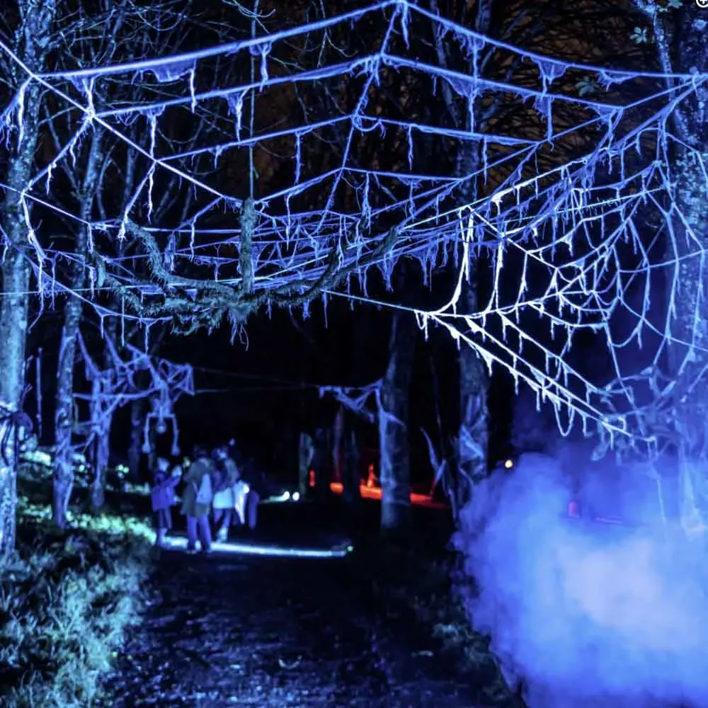decor-halloween-parc-etrange.jpg