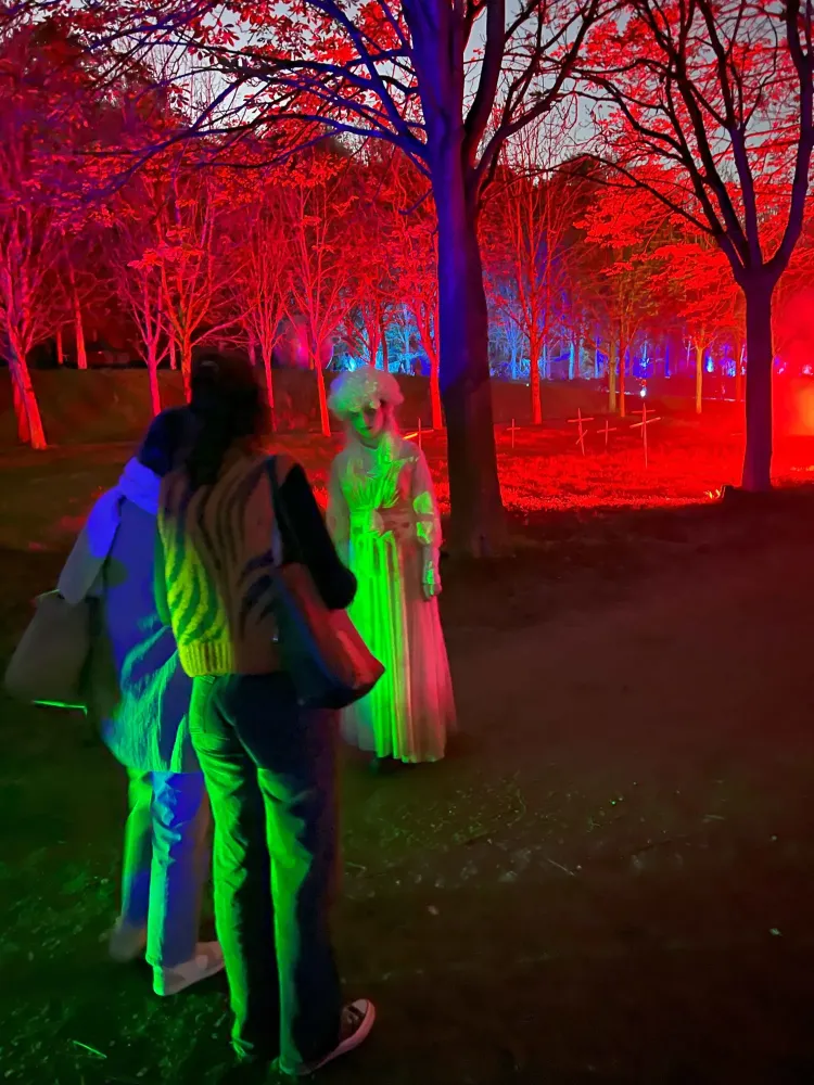 rayons-de-lune-parc-etrange.jpg